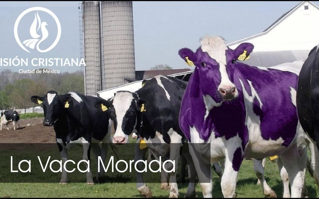 Desde YouTube: La Vaca Morada – Zamson García C. – Visión CDMX