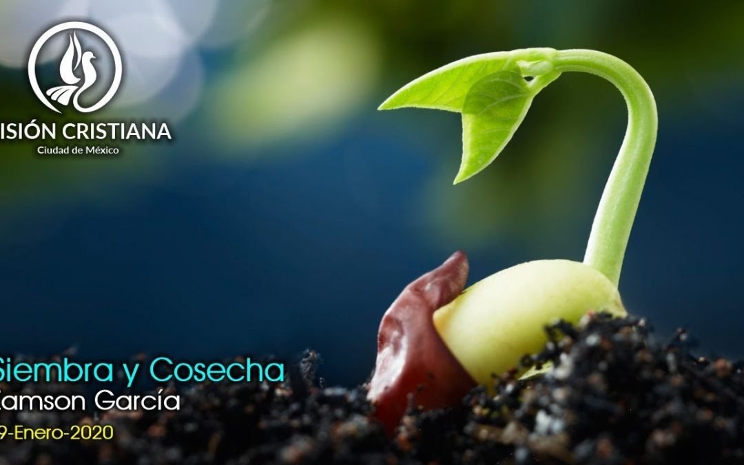 Desde YouTube: Siembra y Cosecha – Zamson García C. – Visión CDMX