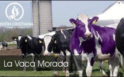 La Vaca Morada – Zamson García C. – Visión CDMX