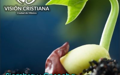 Siembra y Cosecha – Zamson García C. – Visión CDMX