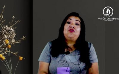 Desde YouTube: Reunión en Línea | 29 de Enero de 2022 | #VisionCDMXEnVivo